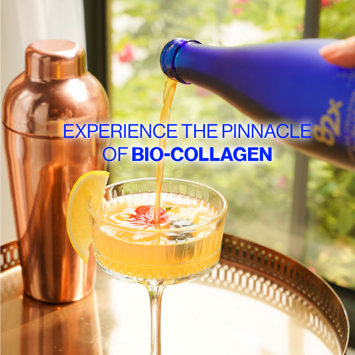 82X Stem Cell Collagen - Cellular Rebirth