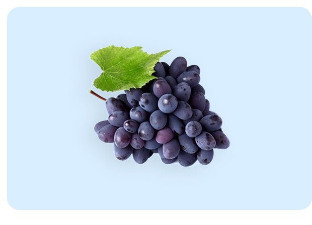 Grape Extract